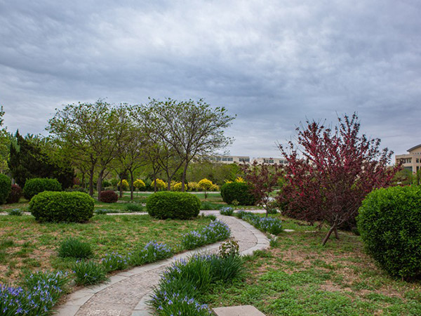 社區花園美景