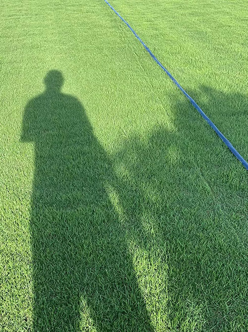 臺灣草，馬尼拉草20